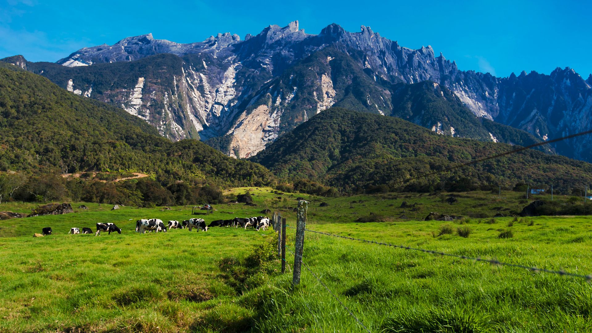 Kota Kinabalu Travel Guide: Beaches, Mountains & Borneo Adventures